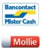 Picture of Mollie Bancontact / MisterCash payment module for nopCommerce
