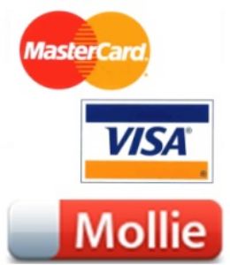 Picture of Mollie CreditCard payment module for nopCommerce