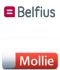 Picture of Mollie Belfius Direct Net payment plug-in for nopCommerce