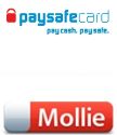 Picture of Mollie Paysafecard payment plug-in for nopCommerce