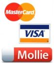 Picture of Mollie CreditCard payment plug-in for SmartStore.NET